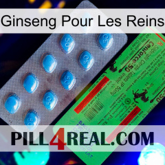 Ginseng For Kidney new03